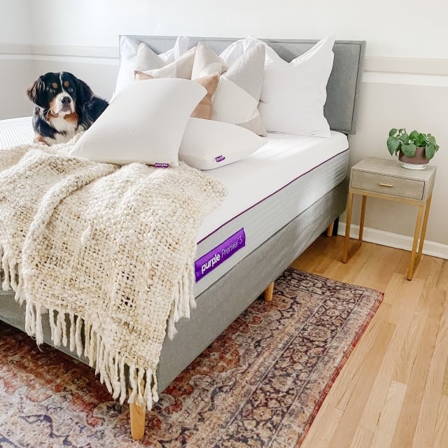 Purple Bedroom Set